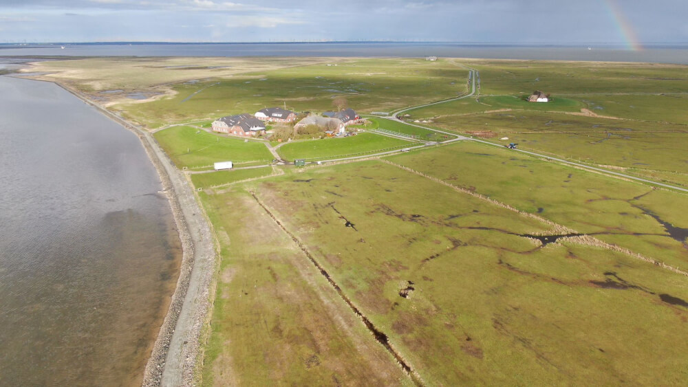 Bild von Hallig Hüs 1